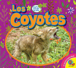 Los coyotes