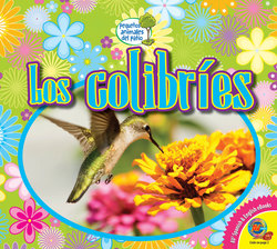 Los colibríes