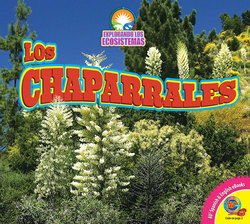 Los chaparrales