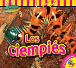 Los ciempiés