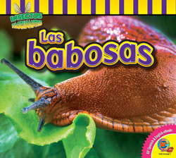 Las babosas