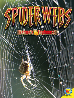 Spiderwebs