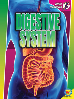 Digestive System