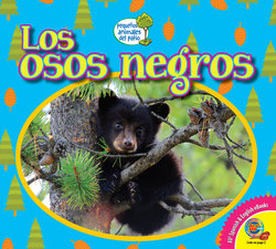 Los osos negros