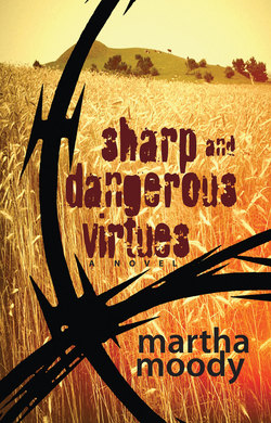 Sharp and Dangerous Virtues