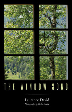 The Window Song