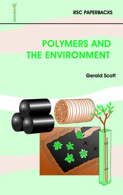 Polymers and the Environment