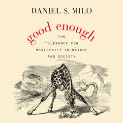 Good Enough (Unabridged)