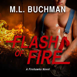 Flash of Fire - Fire Hawks, Book 4 (Unabridged)