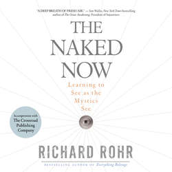 The Naked Now - Learning To See As the Mystics See (Unabridged)