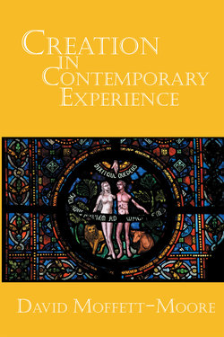 Creation in Contemporary Experience