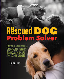 The Rescued Dog Problem Solver