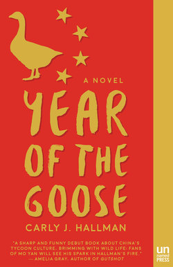 Year of the Goose