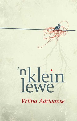 'n Klein lewe