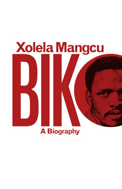 Biko: A Biography