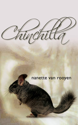 Chinchilla