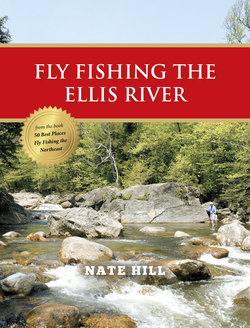 Fly Fishing the Ellis River
