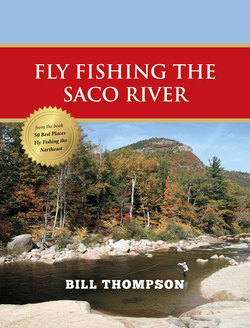 Fly Fishing the Saco River