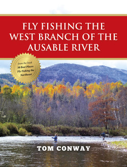 Fly Fishing the West Branch of the Ausable River