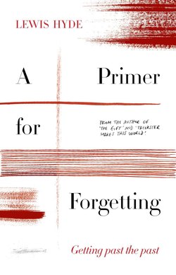 A Primer for Forgetting