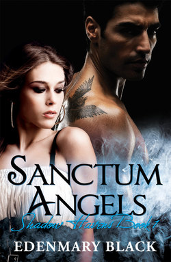 Sanctum Angels Shadow Havens Book 1