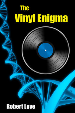 The Vinyl Enigma