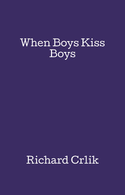When Boys Kiss Boys