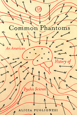 Common Phantoms