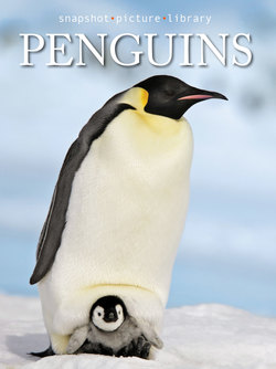 Penguins