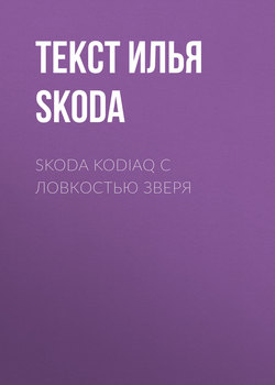 Skoda Kodiaq с ловкостью зверя
