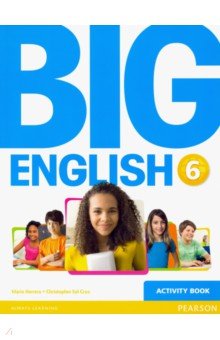 Big English. Level 6. Activity Book