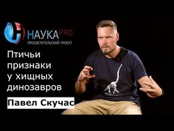 Птичьи признаки у хищных динозавров