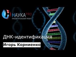 ДНК-идентификация