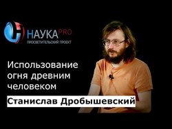 Использование огня древним человеком