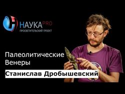 Палеолитические Венеры