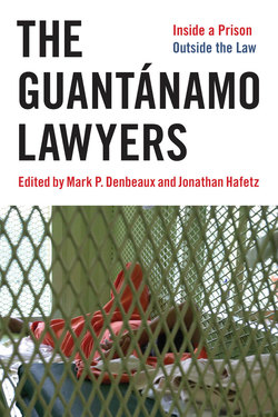 The Guantánamo Lawyers