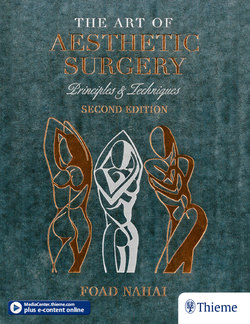 The Art of Aesthetic Surgery: Facial Surgery - Volume 2, Second Edition