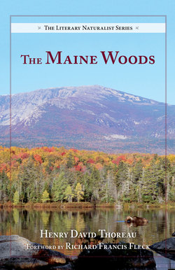 The Maine Woods