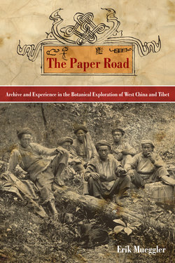 The Paper Road