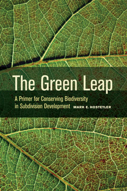 The Green Leap