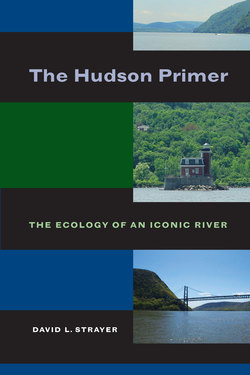 The Hudson Primer