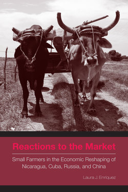 Reactions to the Market