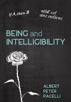 Being and Intelligibility