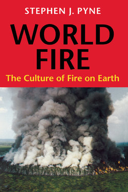 World Fire