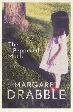 The Peppered Moth