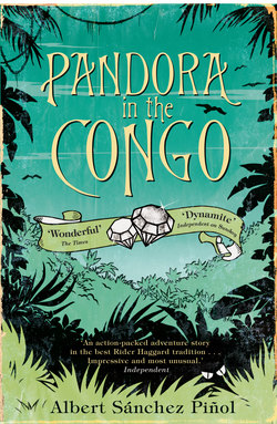 Pandora In The Congo