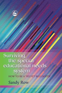 Surviving the Special Educational Needs System