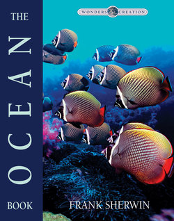 The Ocean Book