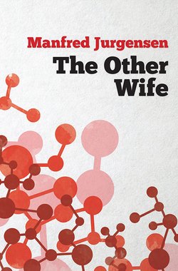 The Other Wife