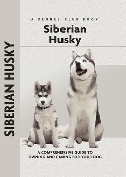 Siberian Husky